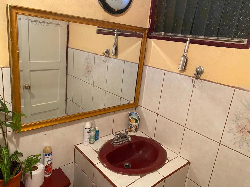 Casa Lupita Alajuela 아파트 외부 사진
