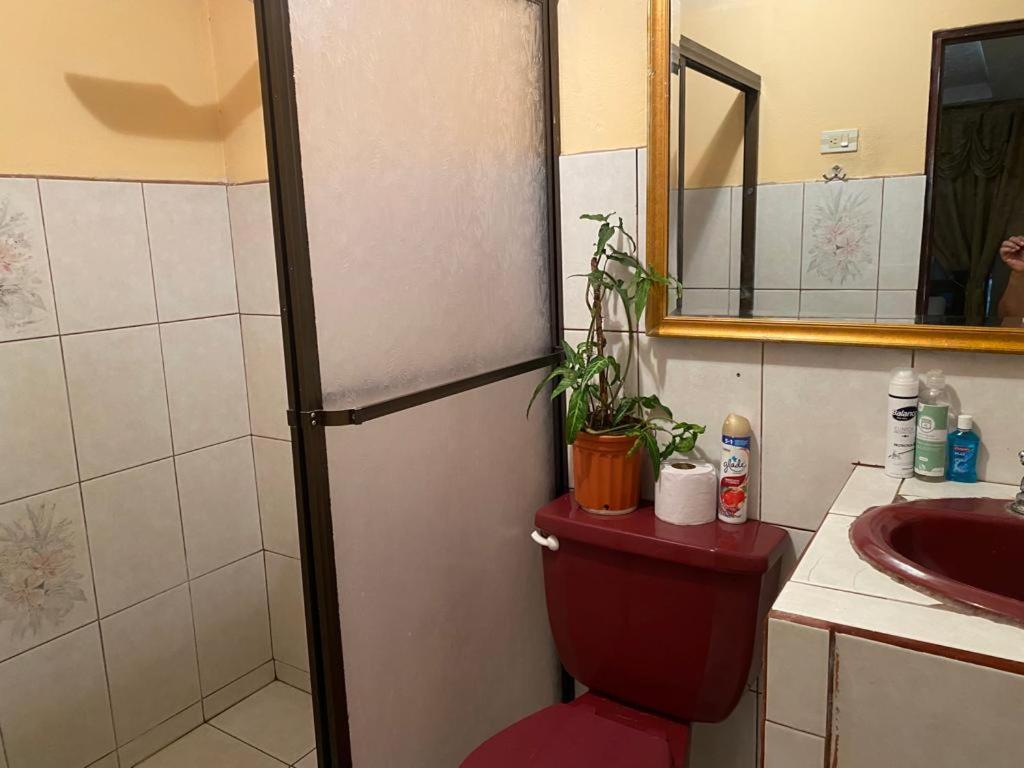 Casa Lupita Alajuela 아파트 외부 사진